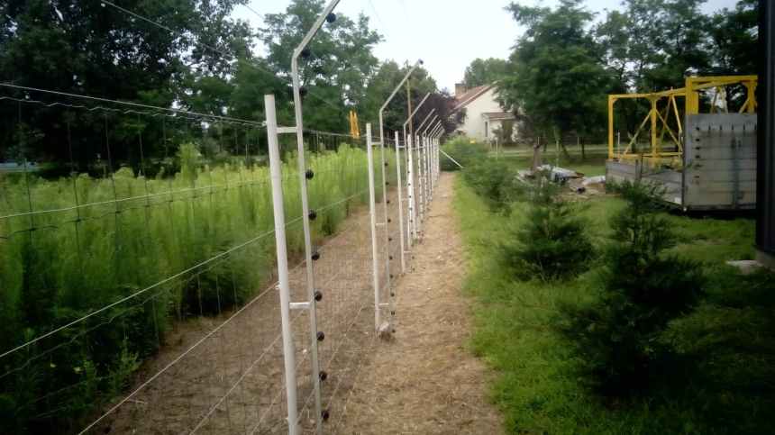 Referencia munkáink